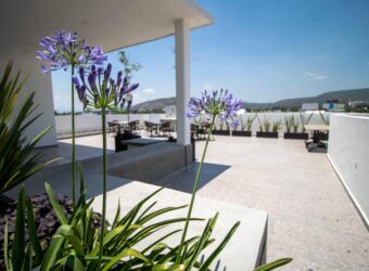 Departamento Ciudad Granja , Universidad Panamericana