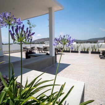 Departamento Ciudad Granja , Universidad Panamericana