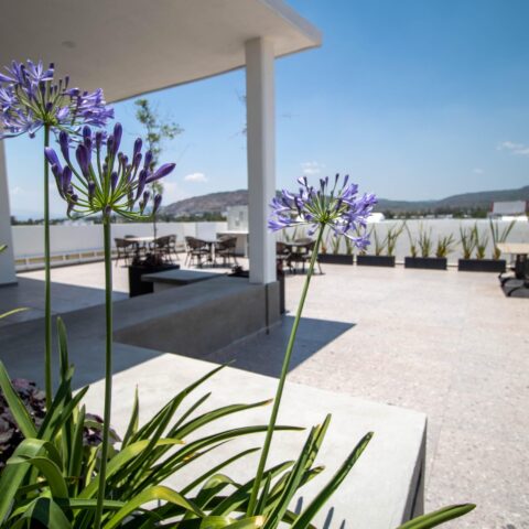 Departamento Ciudad Granja , Universidad Panamericana