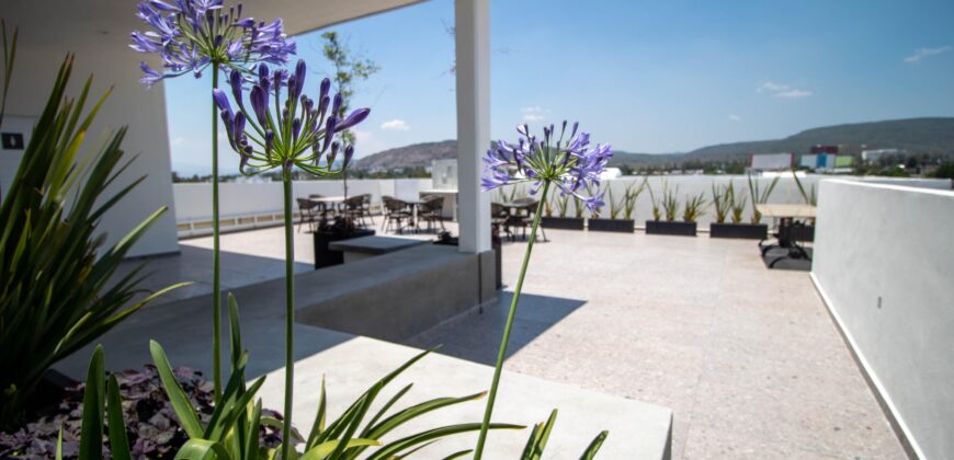 Departamento Ciudad Granja , Universidad Panamericana